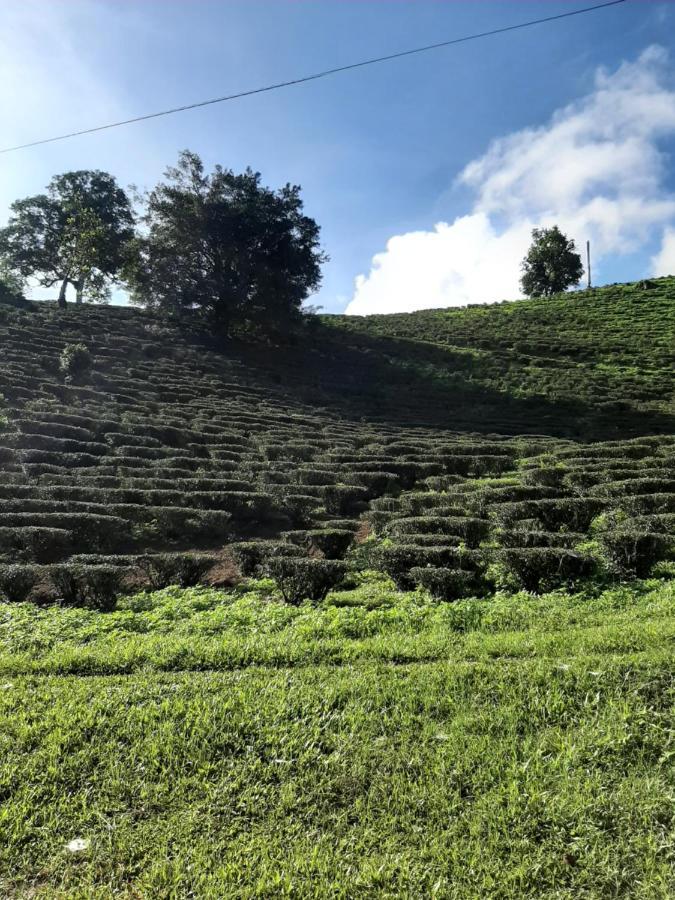 Chiangrai Resort House Ban Doi Hang 외부 사진
